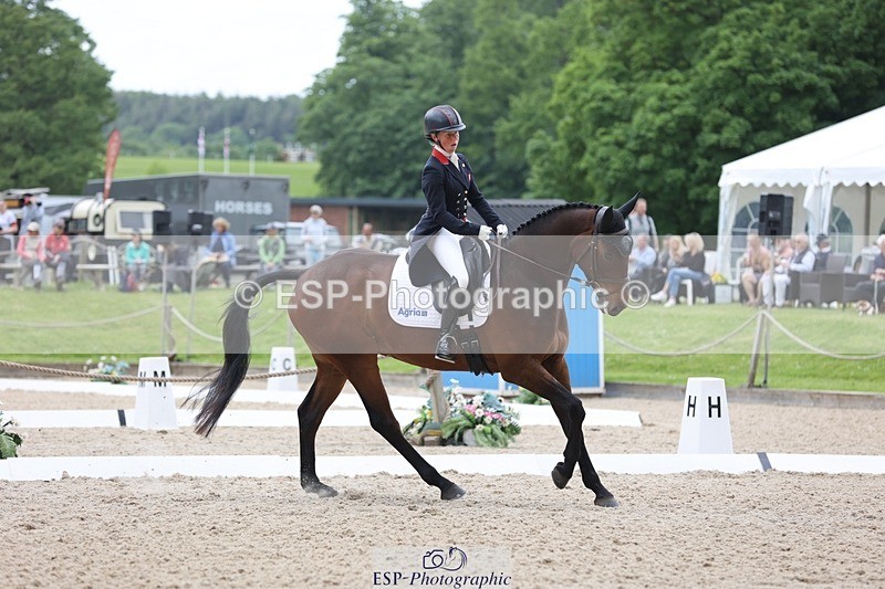 240524-120549-08521 - 274-JACK_OF_CLUBS-Rosalind_Canter