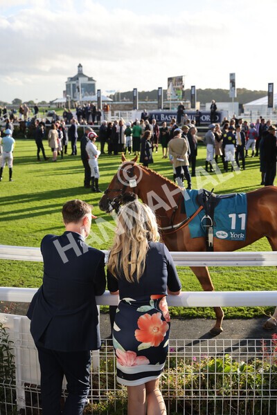 yr07102022r6-1 - Race 6 5.00pm William Hill Lengthen Your Odds EBF Novice Stakes