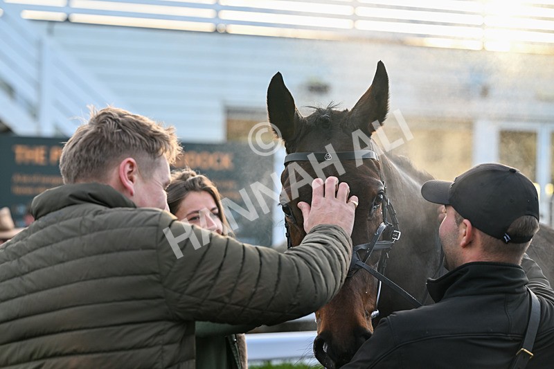 161225-Race 4-Noonetellsmenothin-8626 - Race 4