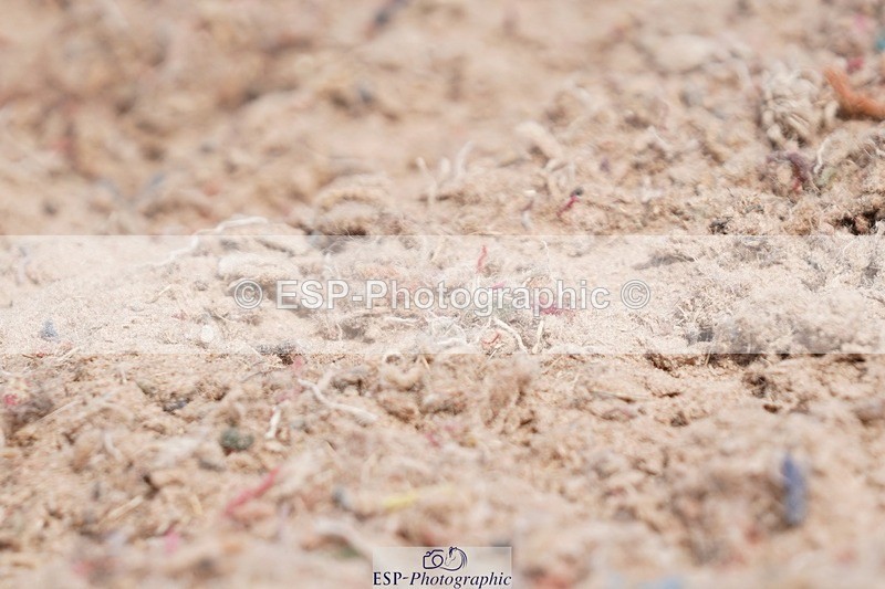 250622-103936-13369 - Cls 52 FreeStyle Elementary Inc Presentations