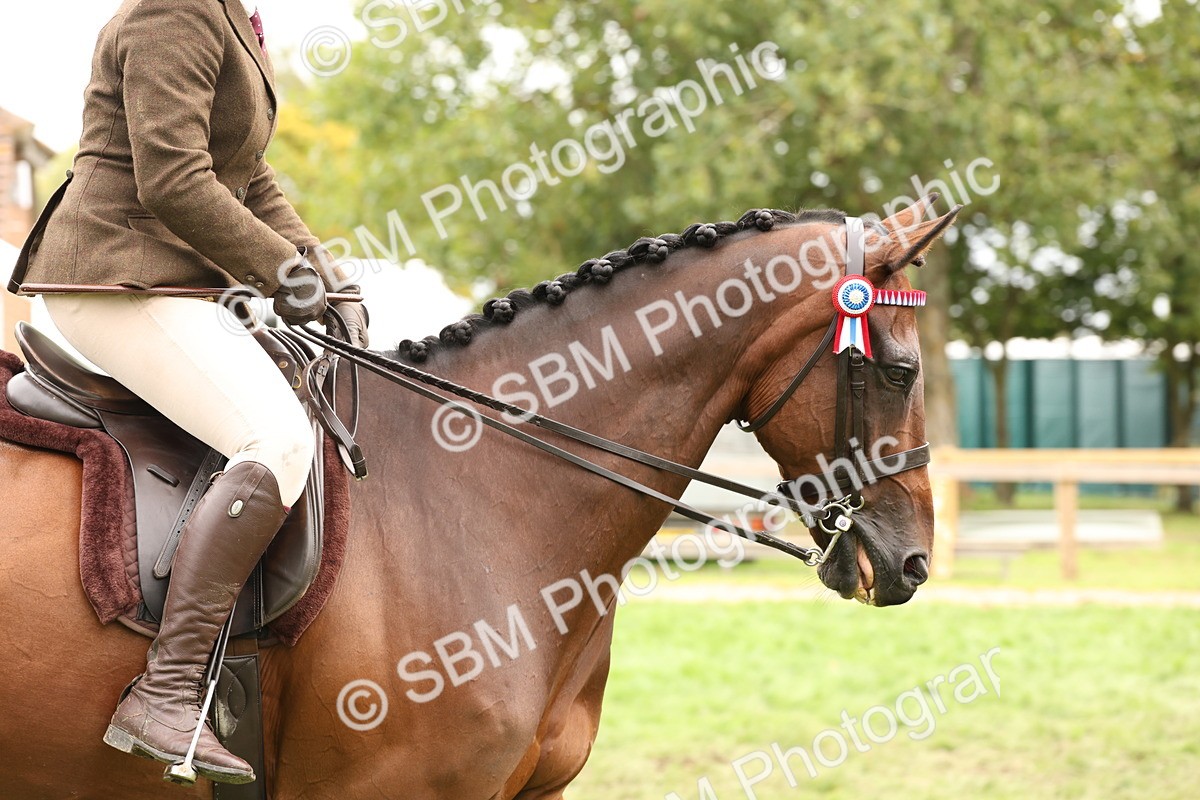 SBM_64289 - S65 - Riding Horse & Hack & Thoroughbred Ridden