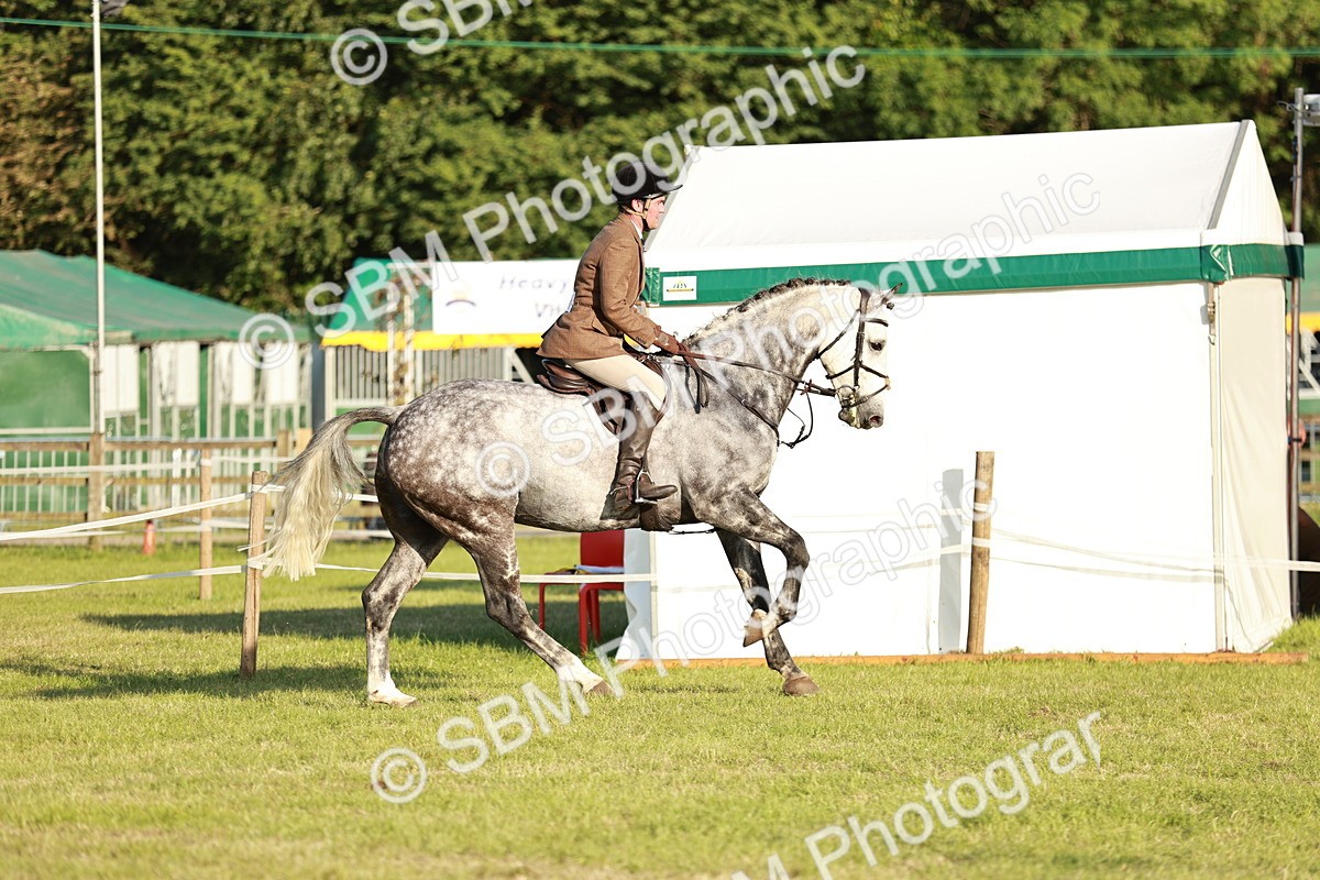 SBM_20455 - Class 117-119 - Sport Horse Working Hunter