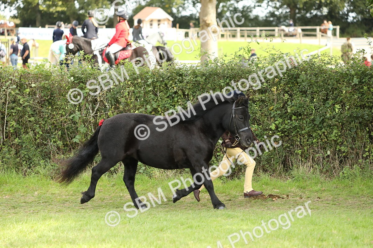 SBM_67708 - S39 - Junior Handler 8  Years & Under