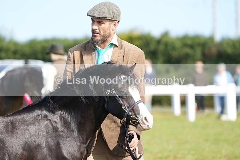 DSC05081 - Class 48: NPS M&M 2/3 year olds