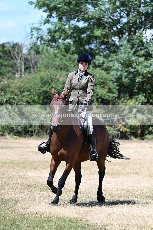 WJ7_3070 - Class 7 Riding Club Show Horse
