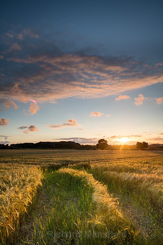  - Landscape
