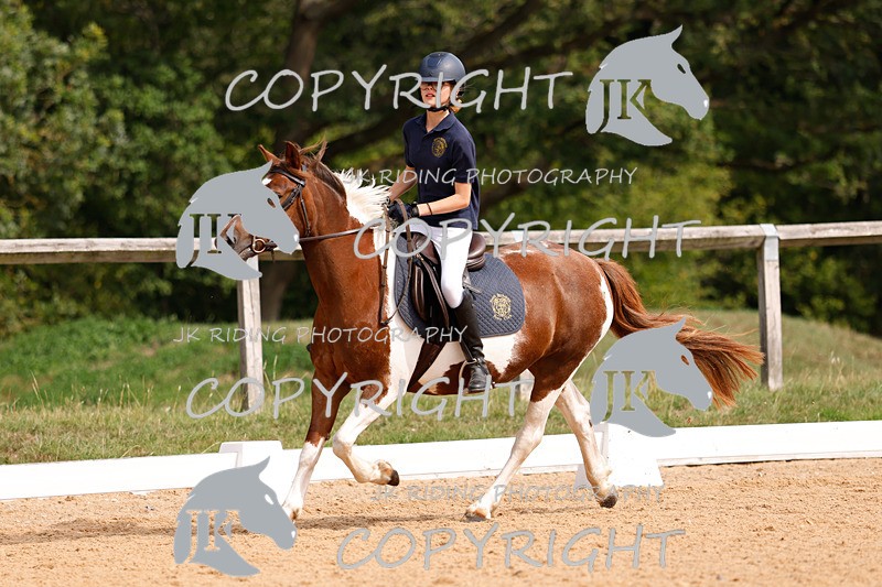 _R6A2351 - Dressage Morning