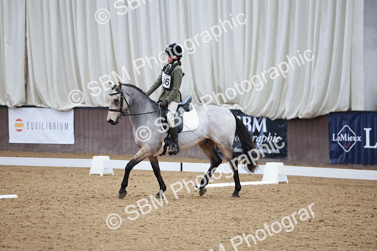 SBM_003776 - Class 2 - Novice 2020