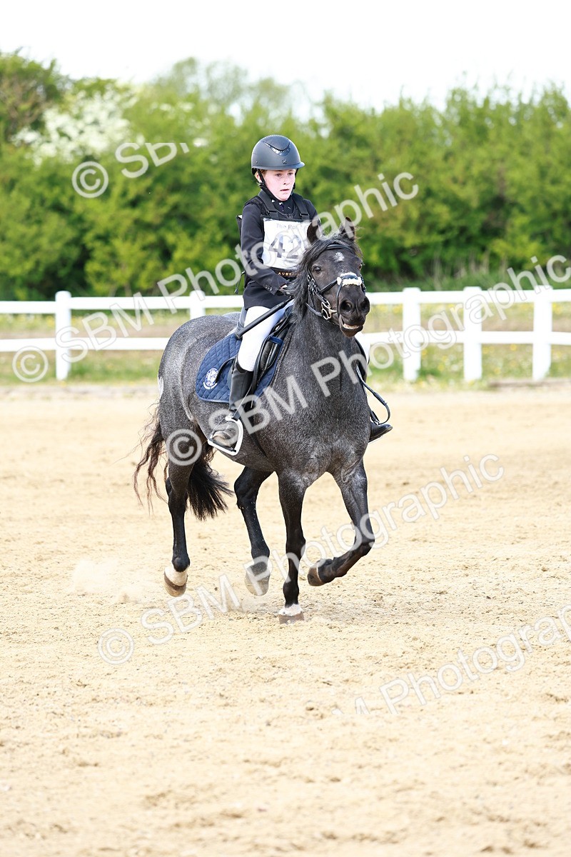 SBM_007840 - Class 3 - 60cm