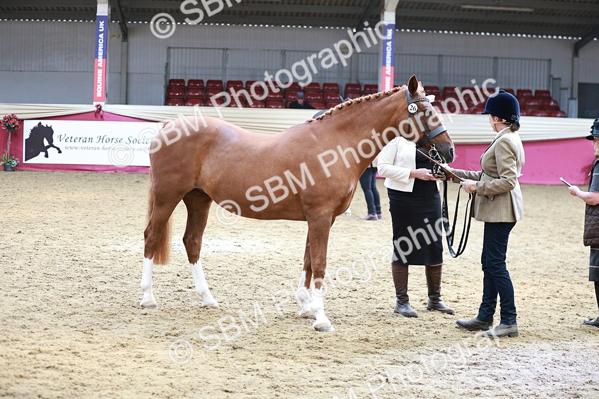 SBM_04791 - Class 7R - Regional IH Diamond