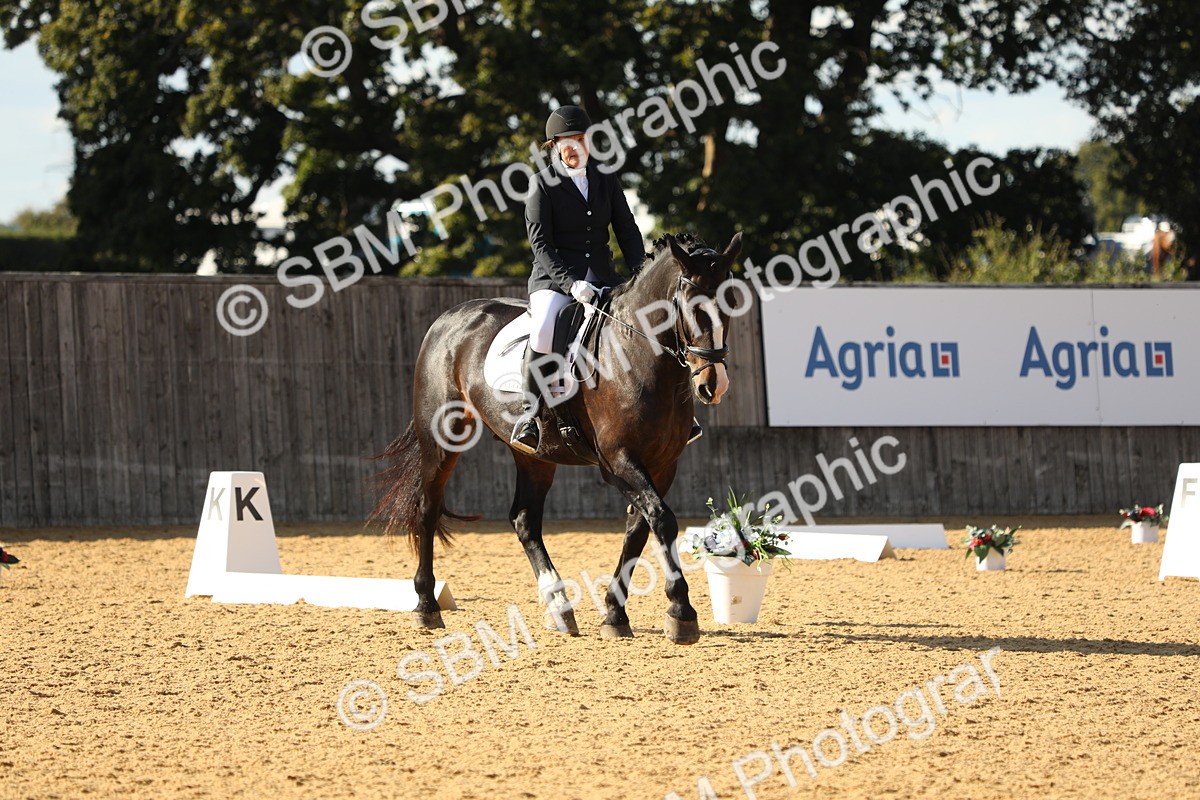SBM_26914 - D17 - Grand Tour Championship - Novice 27