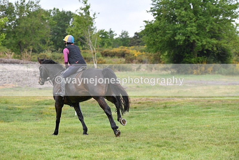 WJ5_4492 - Time 10:09 to 10:37