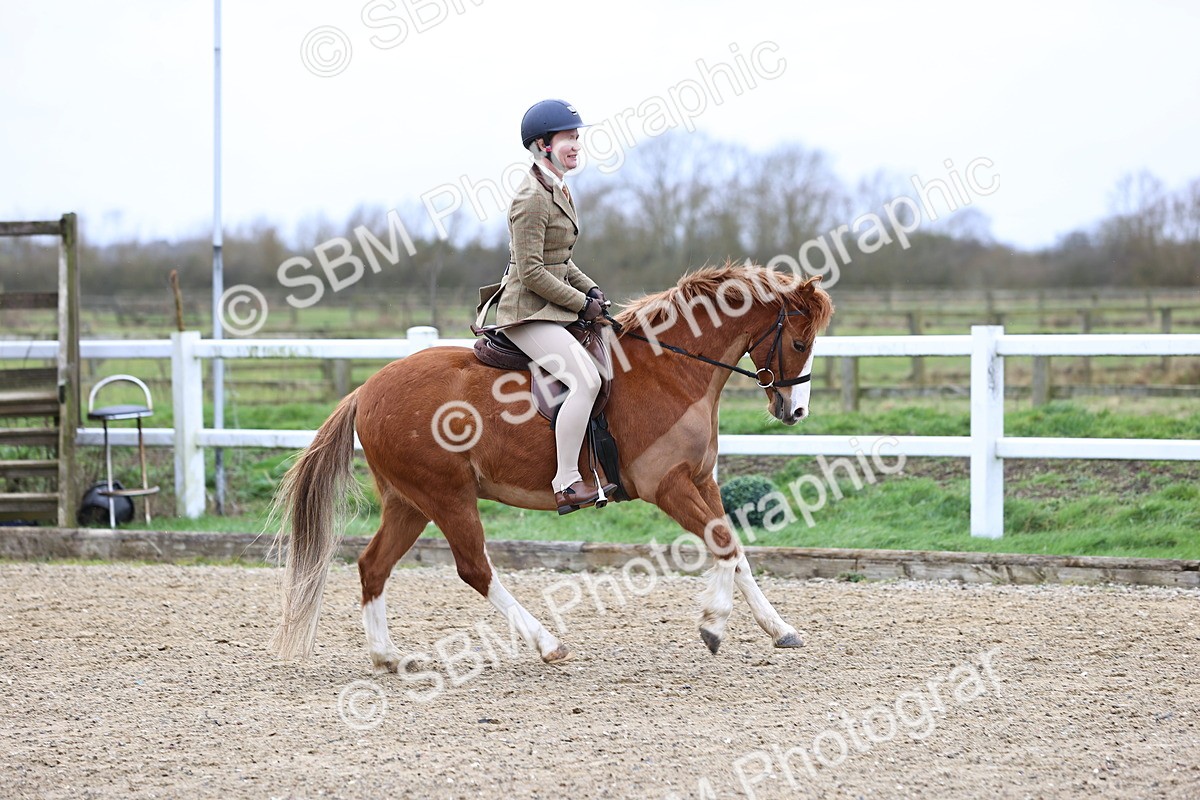 SBM_006754 - Class 29 - 30 - M&M Pure Novice Small-Large Breeds