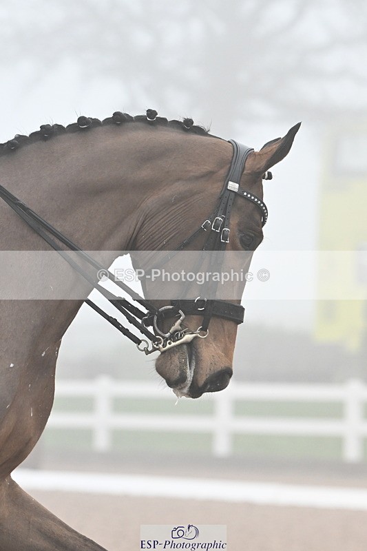 240217A-105222-01500 - 128-Tyler.Bradshaw-Mexx