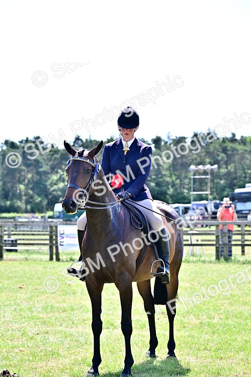 SBM_17559 - Class 95-97 - BSPS LHS Performance Ponies