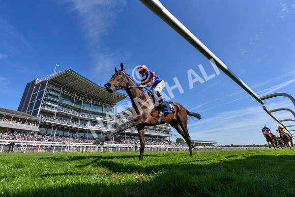 140525-Race 4-Whirl-2-2 - Race 4 3.45pm Tattersalls Musidora Stakes