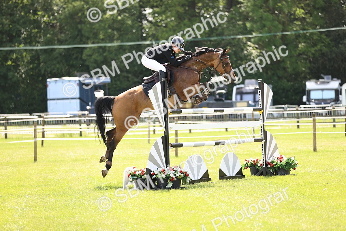 SBM_03989 - Class 201 - British Horse Feedds Speedi Beet HOYS Grade C