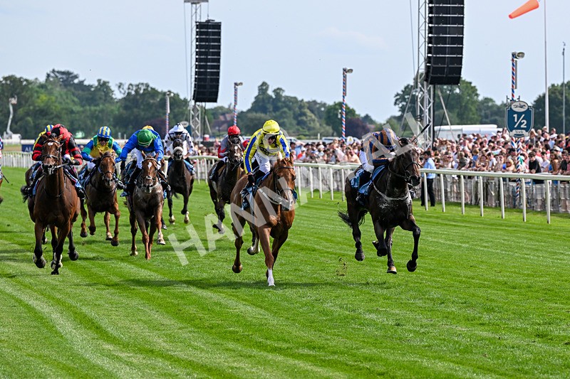270626-Race 7-Double Parked-6091 - Race 7 16.50pm Al Basti Equiworld Dubai Amateur Jockeys' Handicap