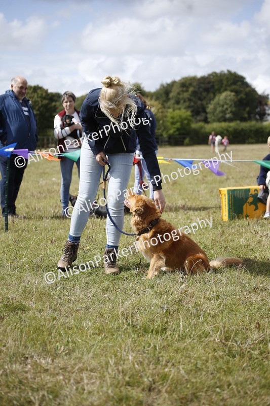20250831-3664 - Dog Show