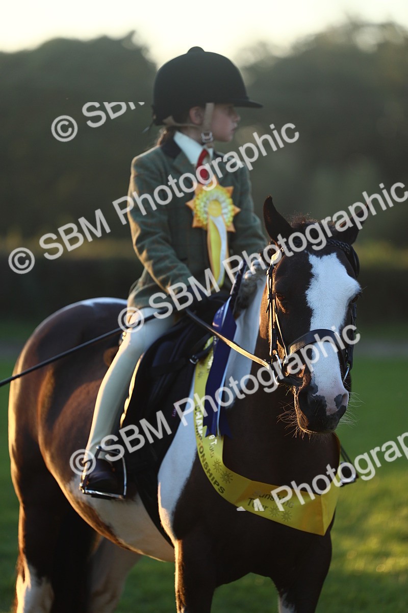 SBM_56689 - Fun & Versatile Supreme Championship