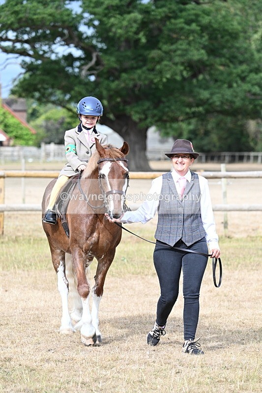 WJ7_6278 - Class 1 Lead Rein Pony