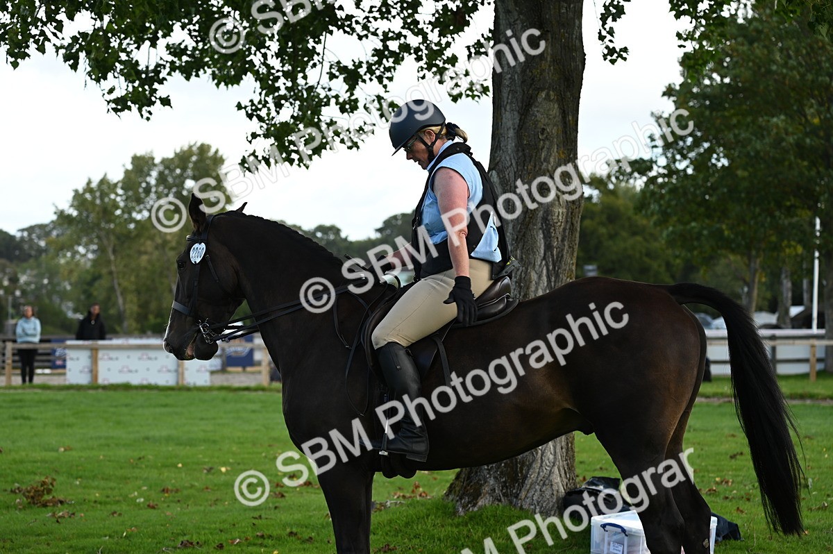 SBM_02072 - S2 - TSR Ridden Horse Showing