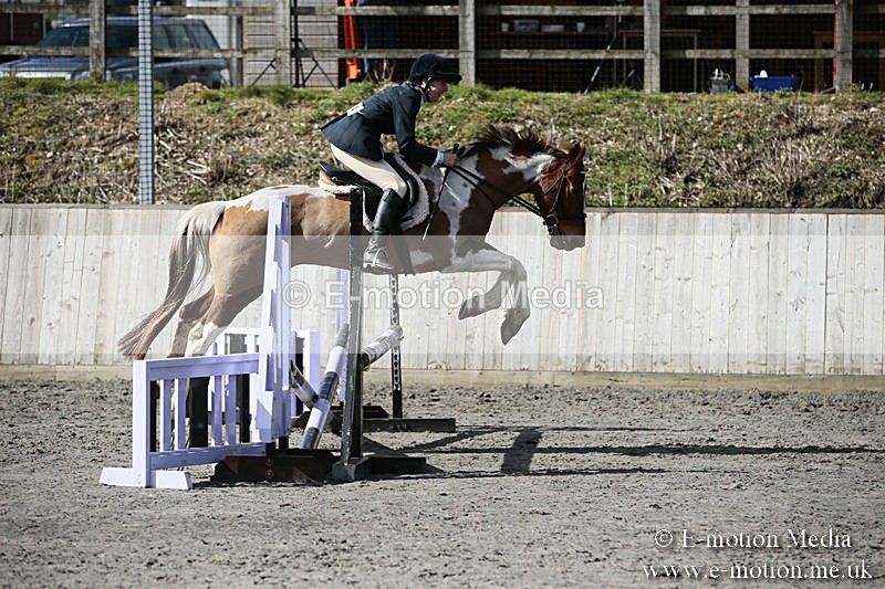 BVRC SJ 170319 304 - Bourne Valley Riding Club Showjumping 17/03/19