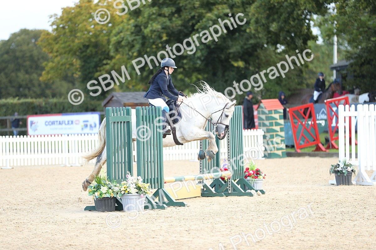 SBM_37284 - J20 - Junior Horse 50cm Championship