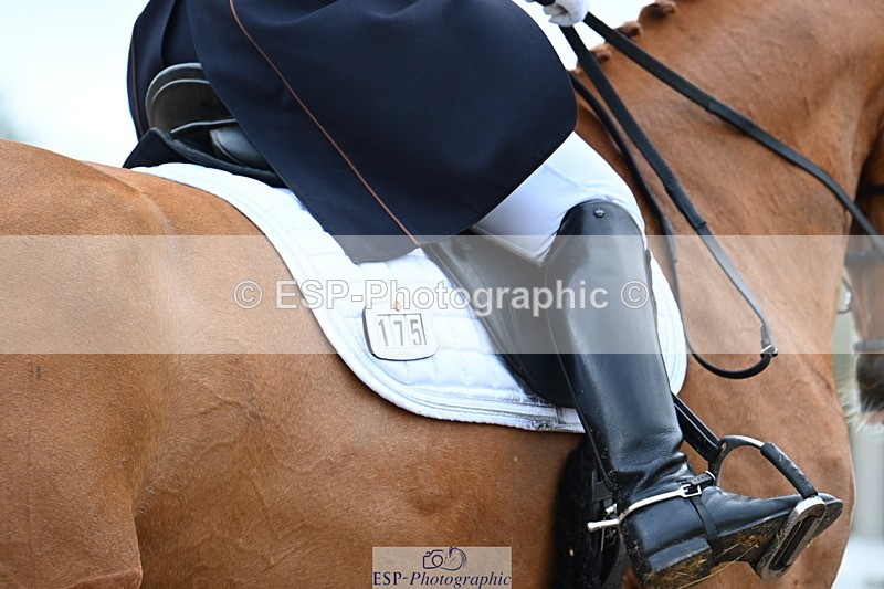 240218A-102822-06001 - 175-Jane.Morris-Silverstar.Z