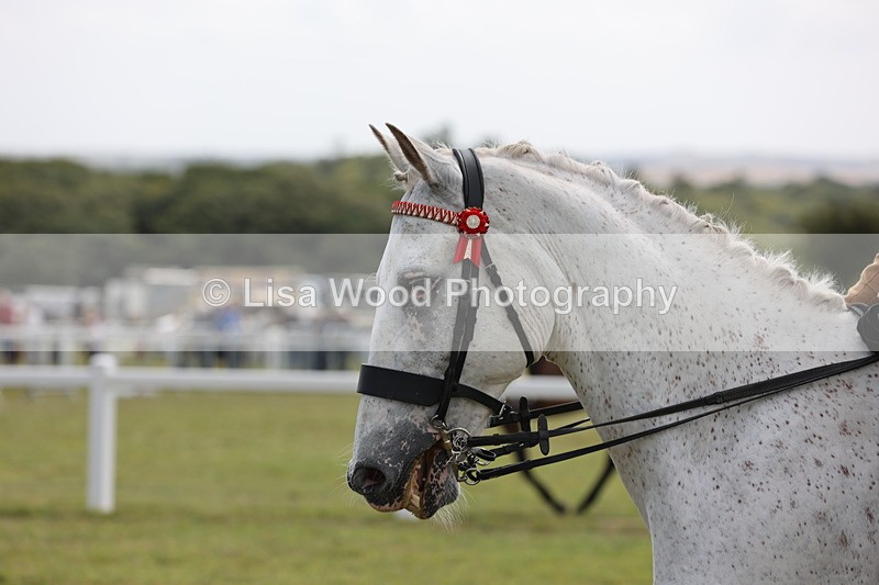 JPP_1421 - Class 17: Cornish Combination Open