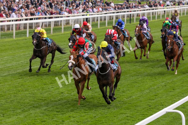 160524-Race 2-Point Lynas-1803 - Race 2 2.45pm Oakmere Homes Hambleton Handicap