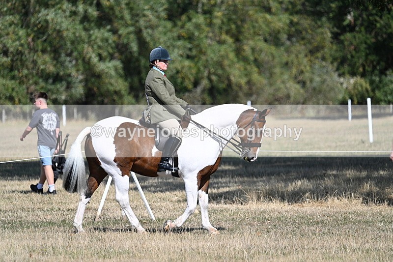 WJ7_3116 - Class 8 Ridden Tack & Turnout