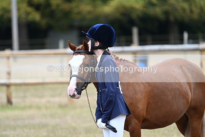 WJ7_8405 - Class 4 Prettiest Mare up to 14.2hh