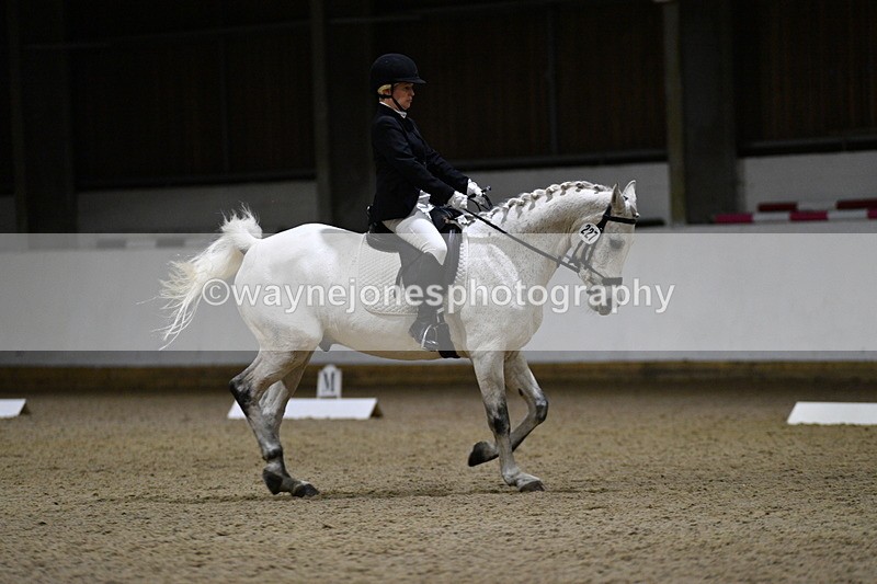 WJ5_8786 - Class 5 Novice Test 3