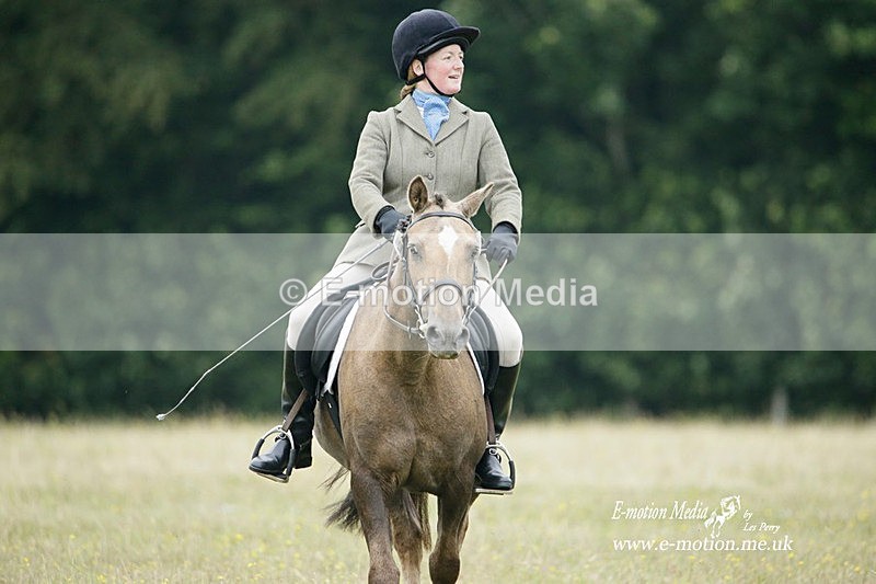 BVRC 030721 530 - Bourne Valley Riding Club Dressage 03/07/21