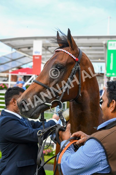 280723-Race 3-Loose Cannon-0328 - Race 3 6.05pm Ire-Incentive, It Pays To Buy Irish EBF Restricted Novice Stakes