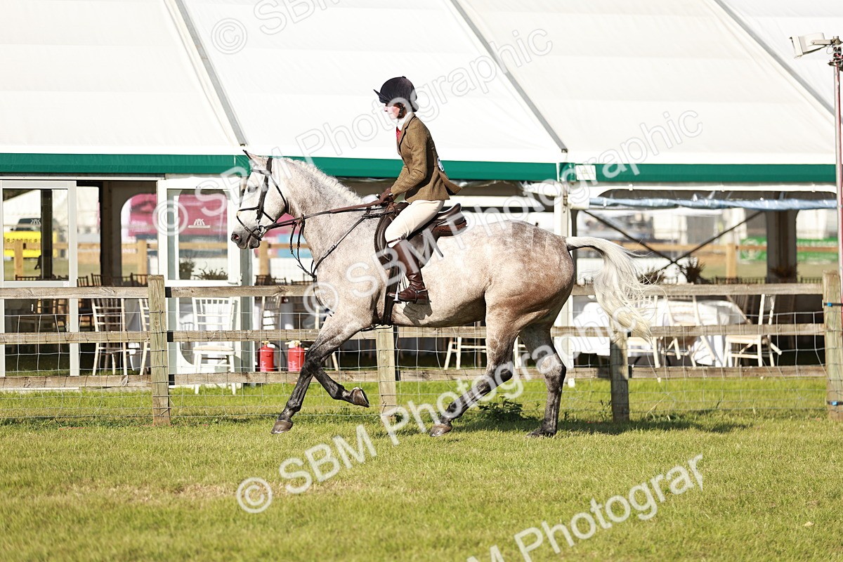 SBM_19996 - Class 115-116 - LIHS BSHA Rising Star Working Hunter & Show Horse