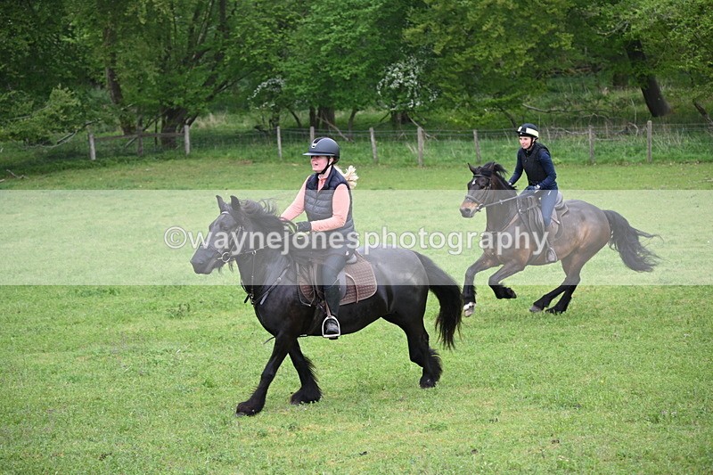 WJ6_2687 - A camera