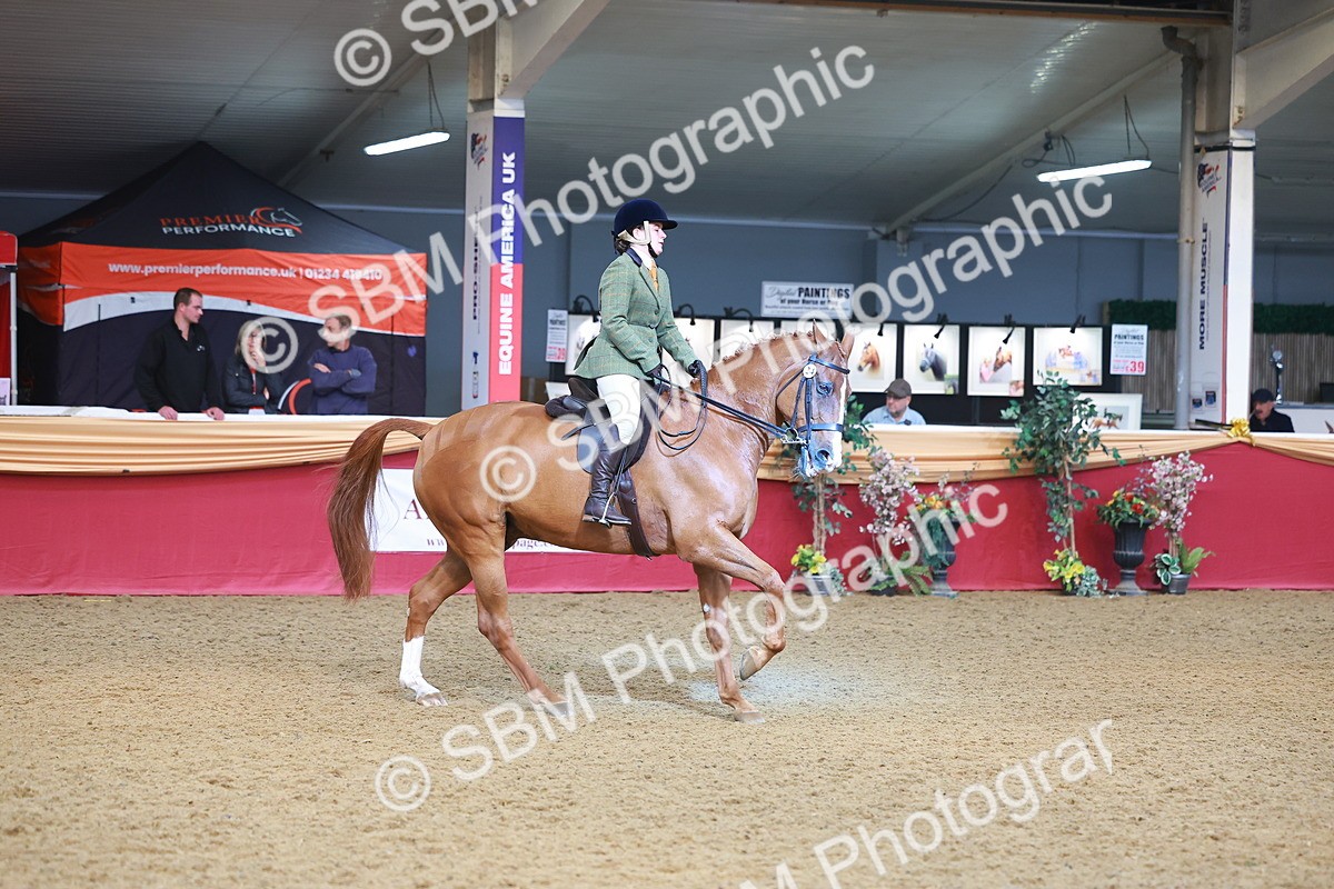 SBM_09699 - Class 102 - HOYS Veteran Qualifier - Ridden Veteran