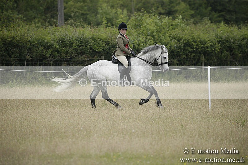 B230619-0542 - Bourne Valley Riding Club Summer Show 23/06/19