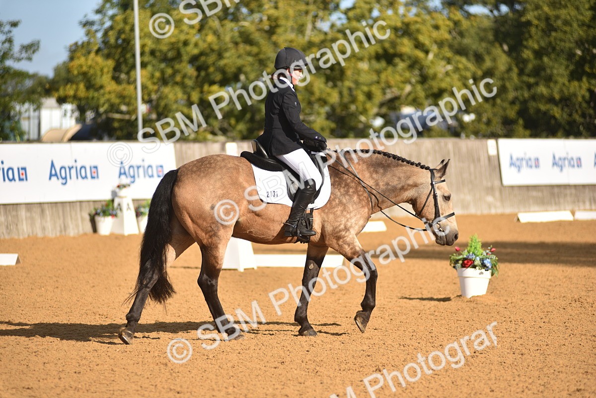 SBM_15776 - D4 - Small Tour Championship Intro 4