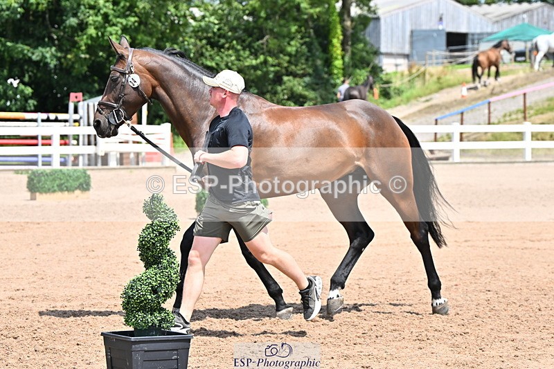 240718A-105314-01729 - Trot Up 1pm to 2pm