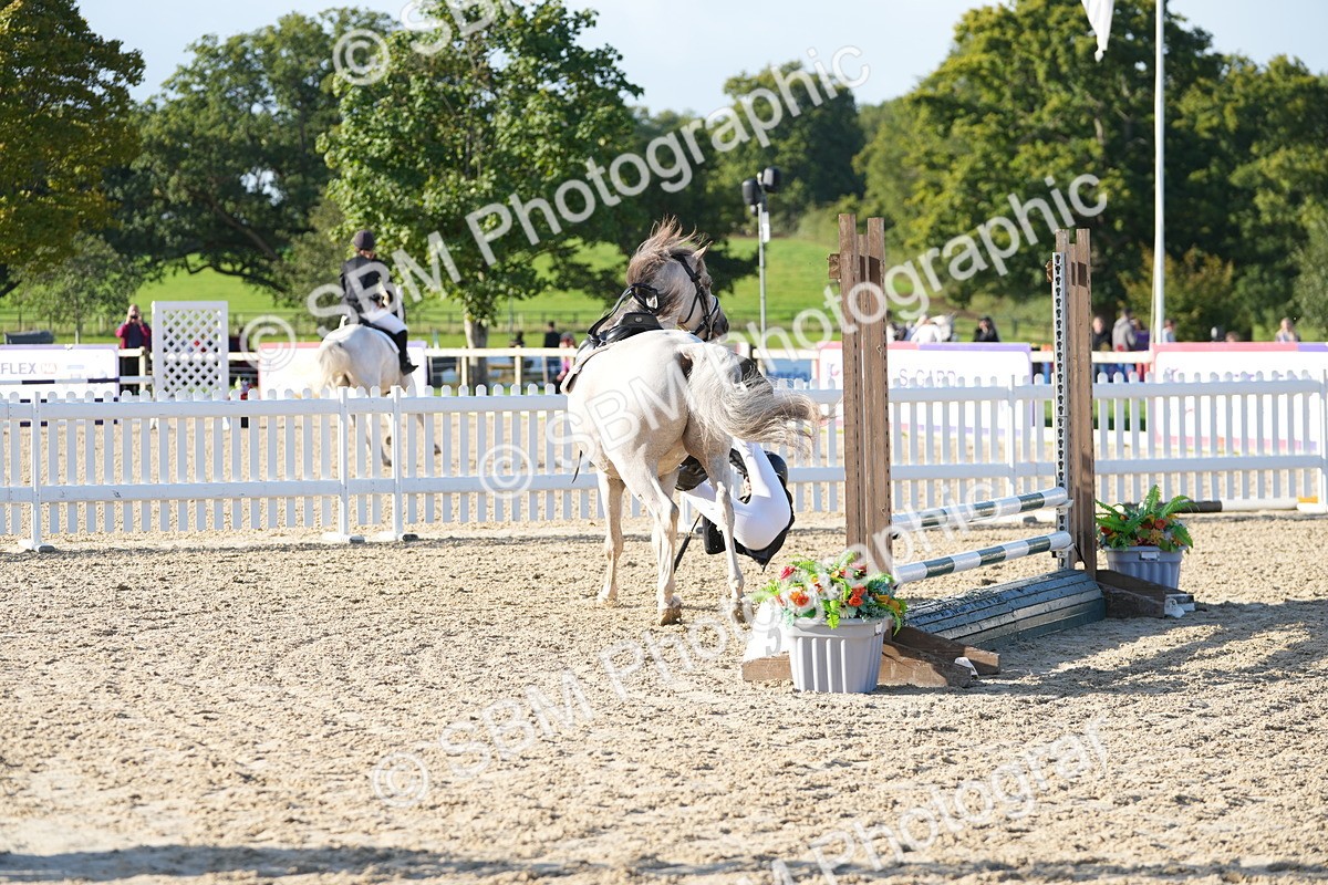 SBM_14342 - J57 - Clear Round 60cm