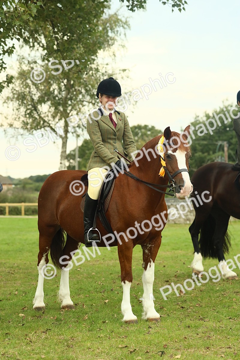 SBM_72331 - S60 - Mountain & Moorland Ridden Large Breeds