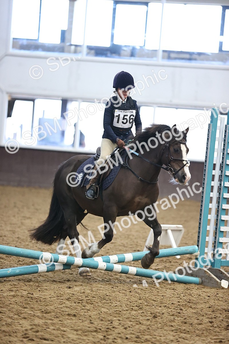 SBM_000229 - Class 2 - The Rug Lady 40cm Area 12 Championship Qualifier