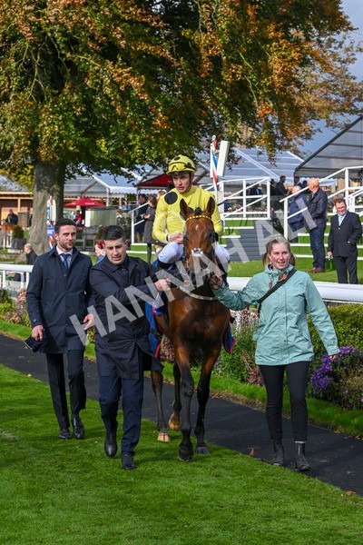121024-Race 2-Bolster-2850 - Race 2 2.05pm Coral Daily Rewards Shaker Handicap