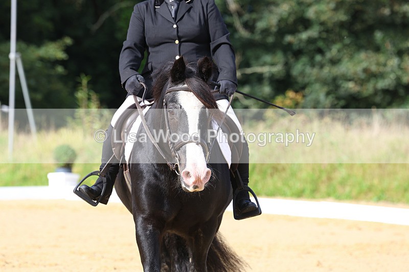 3E7A2333 - Class 1: Intro 4 2024 section A