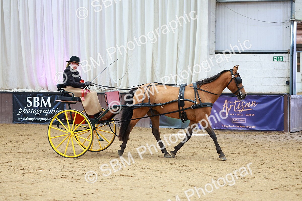 SBM_001071 - Class 15 - Open Showmans Class
