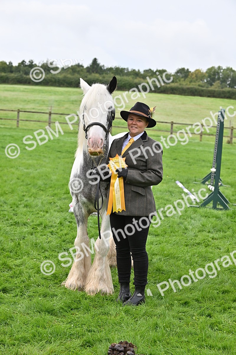 SBM_56986 - S45 - Coloured Pony In Hand
