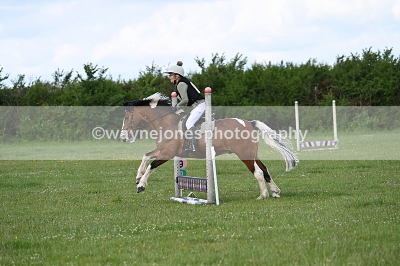 WJ7_0267 - 40cm